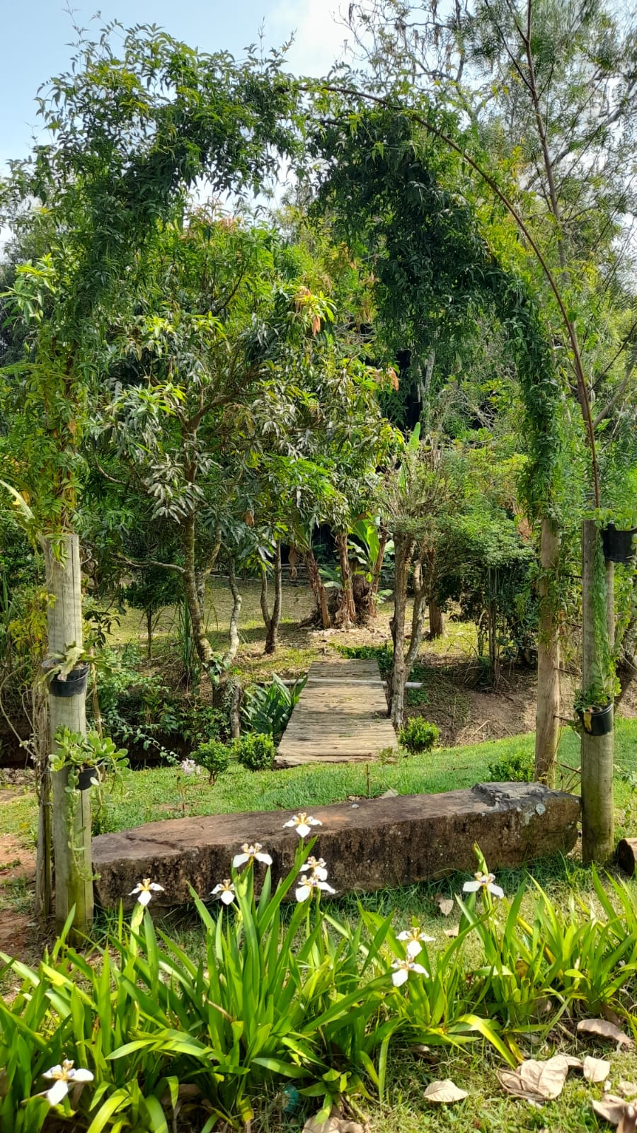 Jardim da Casa do Tijolinho, com arco de flores