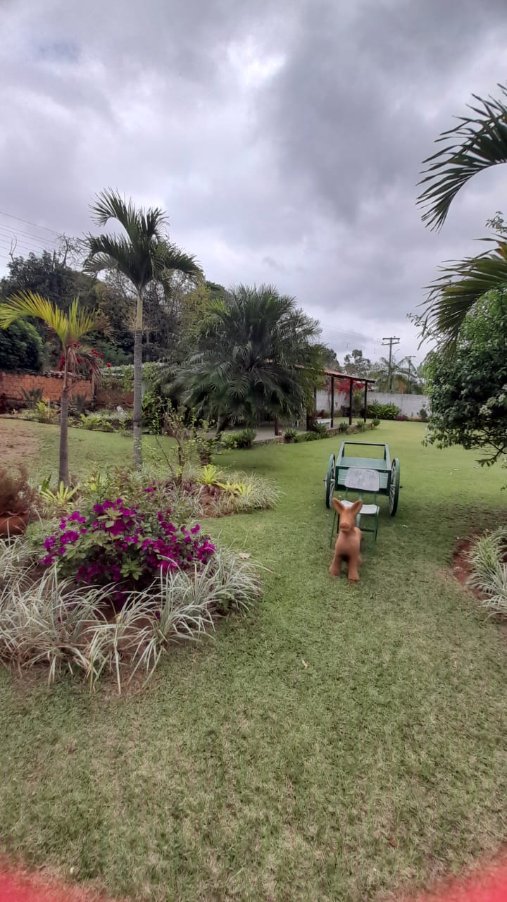 Jardim florido da Casa do Tijolinho